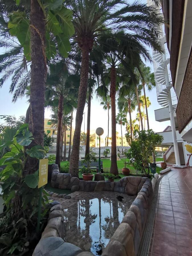 Cherry Top Cake Apartment Playa del Inglés Exterior foto